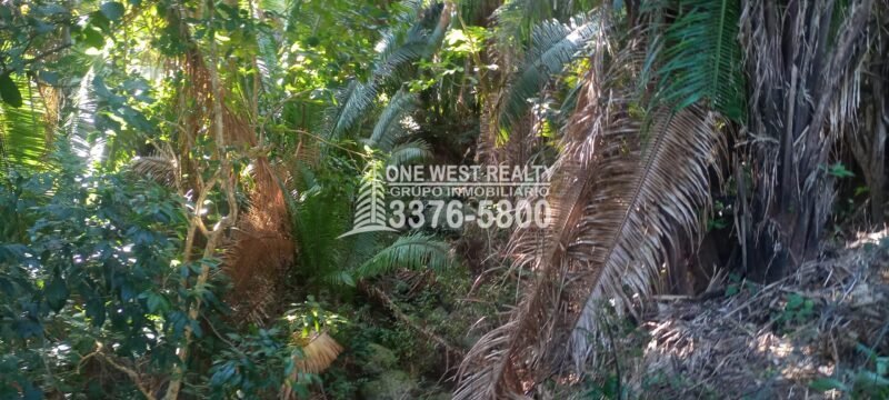 20230121_092818-scaled-scaled-1 La Ceiba Honduras 34 Acres of Land for Sale with an Amazing Ocean View
