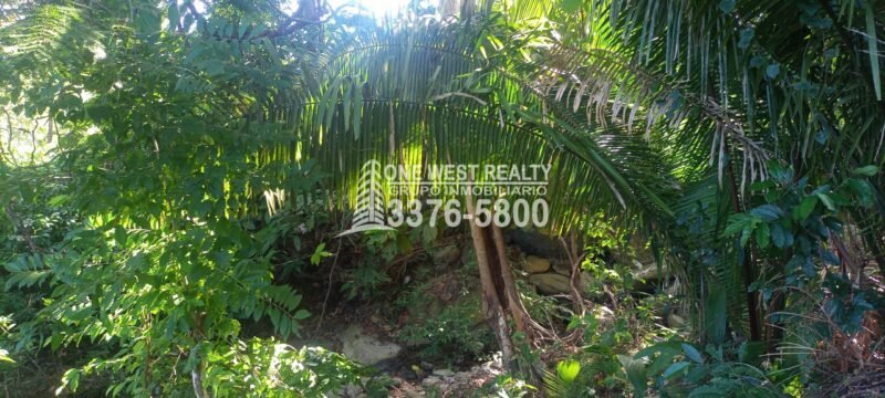 20230121_093053-scaled-scaled-1 La Ceiba Honduras 34 Acres of Land for Sale with an Amazing Ocean View