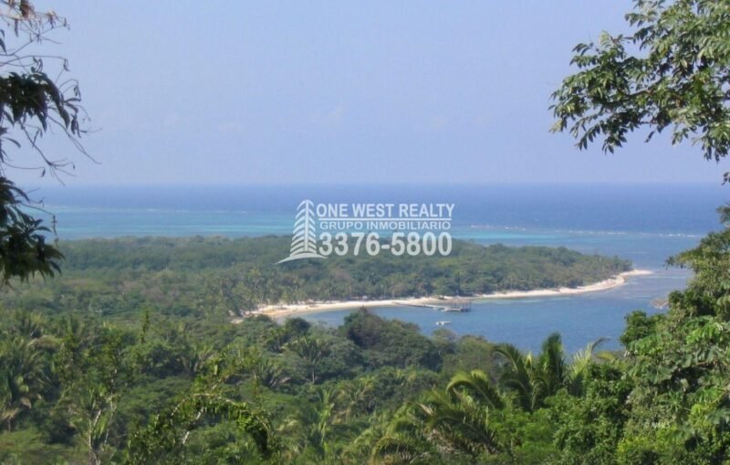 460813_lg-scaled-1 Palmetto Bay Roatan Land for Sale LOT 1 of 27 ACRES 0.82 Acres