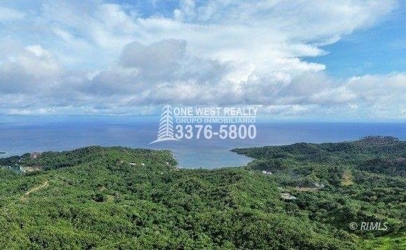 Development,Roatan Honduras, Land For Sales 17.15 ACRES