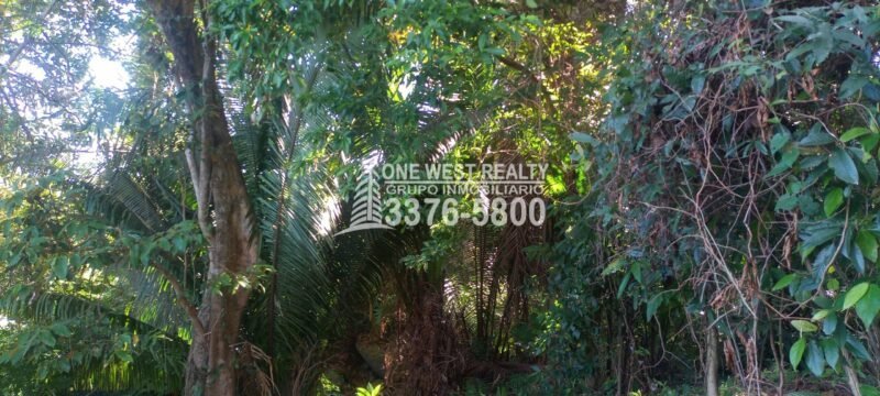 La Ceiba Honduras Venta de Terreno con Vista a Cayos Cochinos