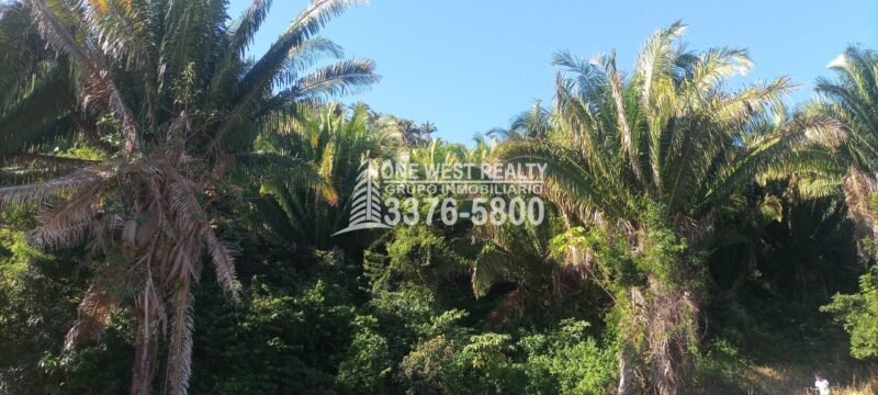 La Ceiba Honduras Venta de Terreno con Vista a Cayos Cochinos