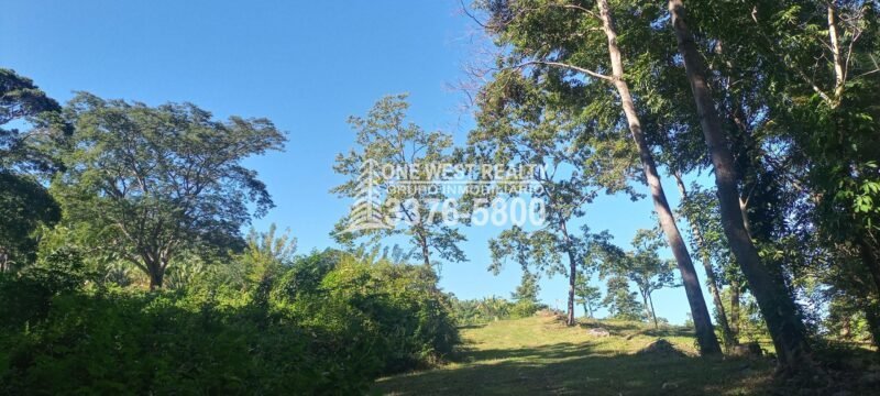 La Ceiba Honduras Venta de Terreno con Vista a Cayos Cochinos
