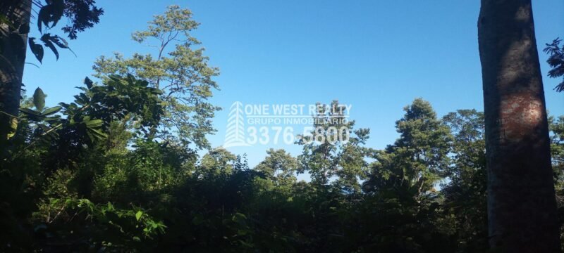 Honduras-Venta-de-Popiedad-en-la-ceiba-scaled-scaled-1 La Ceiba Honduras 34 Acres of Land for Sale with an Amazing Ocean View