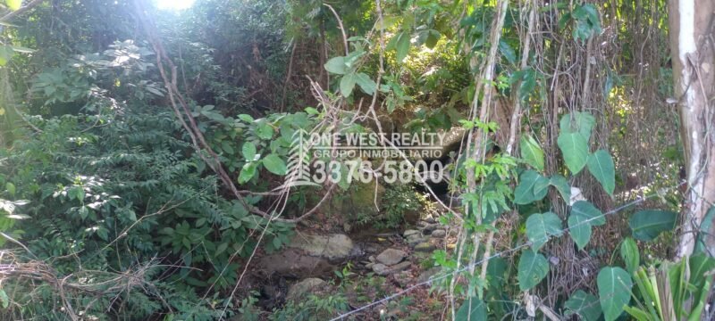 Hotel-La-Ceiba-Venta-scaled-scaled-1 La Ceiba Honduras 34 Acres of Land for Sale with an Amazing Ocean View