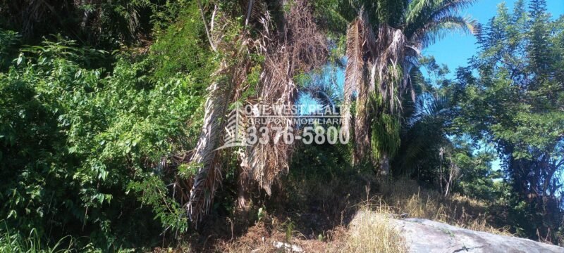 La-Ceiba-ATLANTIDA-Honduras-turismo-scaled-scaled-1 La Ceiba Honduras 34 Acres of Land for Sale with an Amazing Ocean View