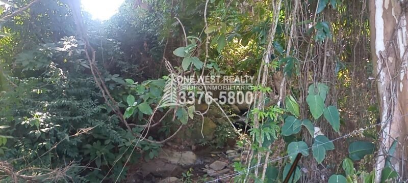 La-Roma-Atlantida-scaled-1 La Ceiba Honduras 34 Acres of Land for Sale with an Amazing Ocean View