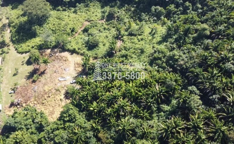 La-Roma-Ceiba-1-scaled-1 La Ceiba Honduras 34 Acres of Land for Sale with an Amazing Ocean View