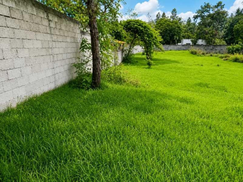 Terreno El Tablon 5 Terreno en Venta en El Tablón, Valle de Ángeles, Tegucigalpa
