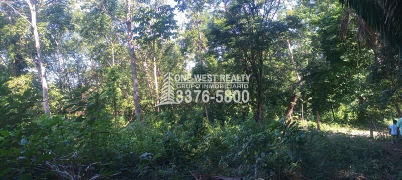 La Ceiba Honduras Venta de Terreno con Vista a Cayos Cochinos