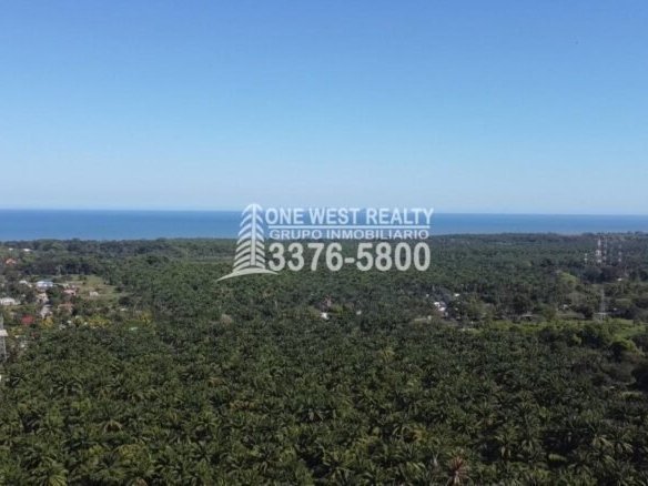 La Ceiba Honduras Venta de Terreno con Vista a Cayos Cochinos