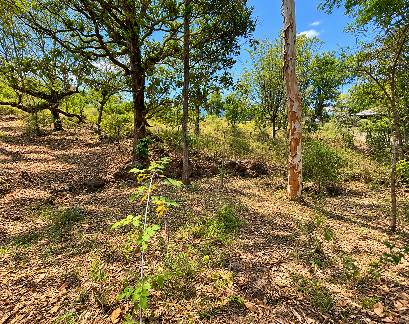 Lote en Venta – Uyuca, Carretera CA-6, Francisco Morazán