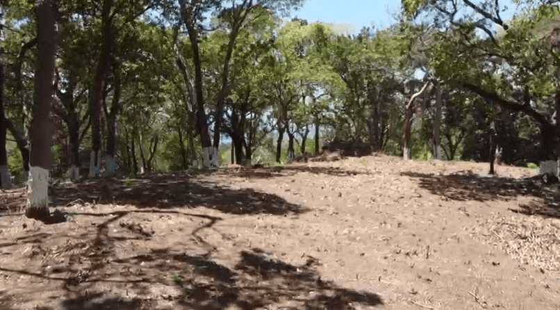 screenshot-2026-09-22-140736 Terreno de 9 acres en venta en José Santos Guardiola, Roatán