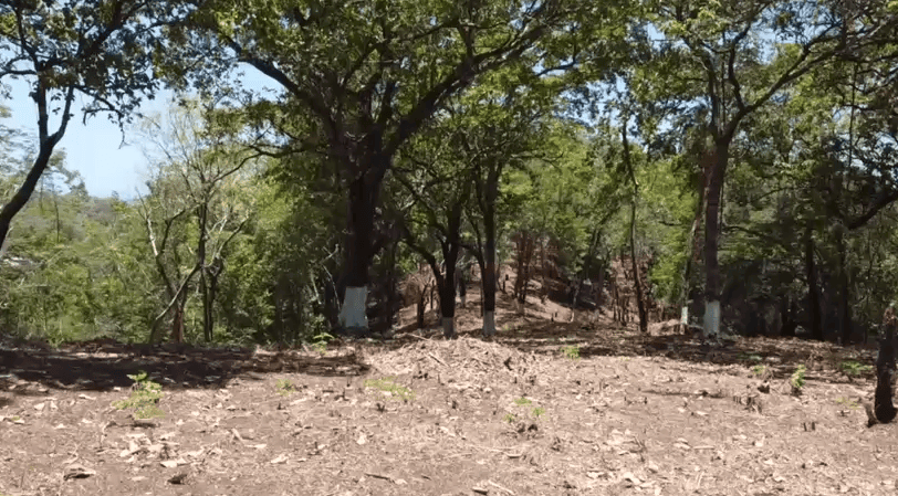 screenshot-2026-09-22-140754 Terreno de 9 acres en venta en José Santos Guardiola, Roatán